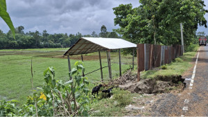 বিএনপি নেতার বিরুদ্ধে জমি  দখলের অভিযোগ