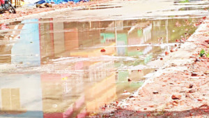 কোটি টাকার প্রকল্পে থাবা বিএনপি নেতাদের