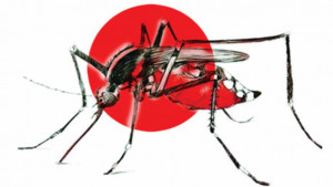হাসপাতালে বাড়ছে রোগীর চাপ, হিমশিম চিকিৎসক-স্বাস্থ্যকর্মীরা