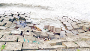 দেবে গেছে মেঘনা  তীর রক্ষা বাঁধ