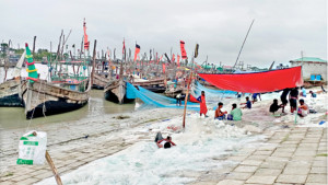 ভরা মৌসুমেও ইলিশে দুর্দিন