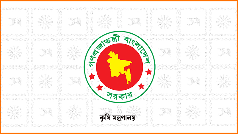 নতুন তিন জাতের ধান আনলো ব্রি নতুন তিন জাতের ধান আনলো ব্রি