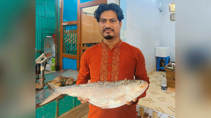 চাঁদপুরে এক ইলিশ ১৩ হাজার ৫০০ টাকায় বিক্রি চাঁদপুরে এক ইলিশ ১৩ হাজার ৫০০ টাকায় বিক্রি