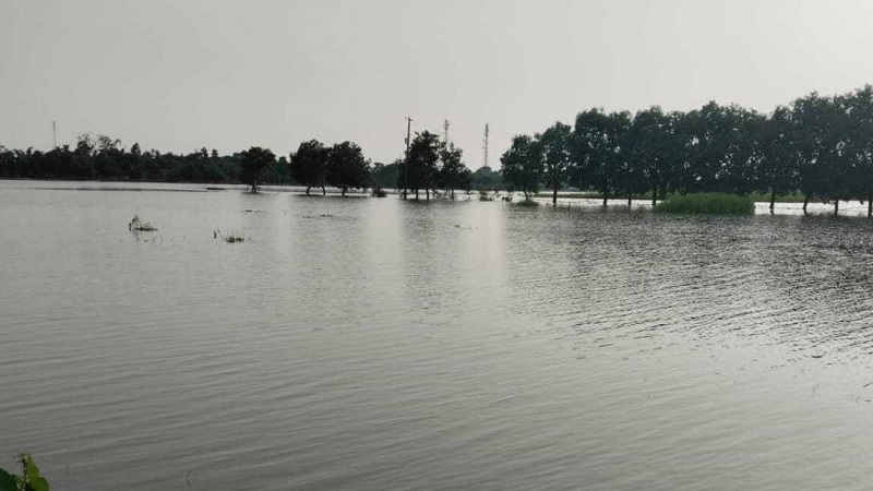 ঈদ যাত্রায় সন্তানকে বাঁচাতে প্রাণ গেল মায়ের ঈদ যাত্রায় সন্তানকে বাঁচাতে প্রাণ গেল মায়ের