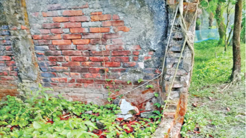 বাউফলে বেদখল সরকারি ৭ গণমিলনায়তন বাউফলে বেদখল সরকারি ৭ গণমিলনায়তন