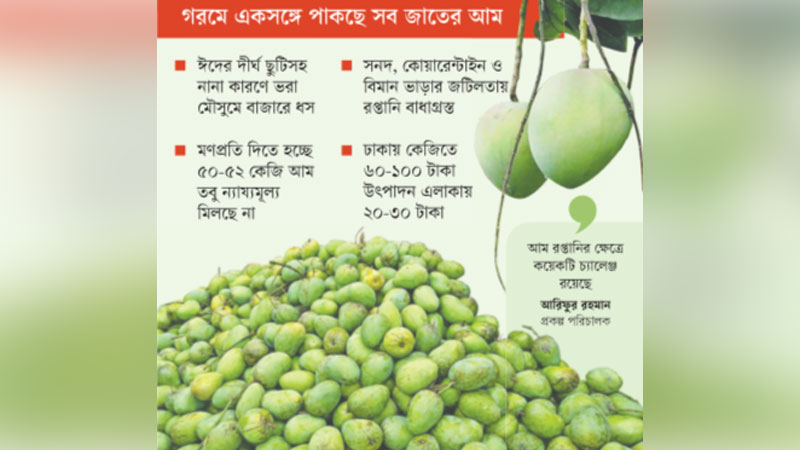 আমের বাজার ভালো না আমের বাজার ভালো না
