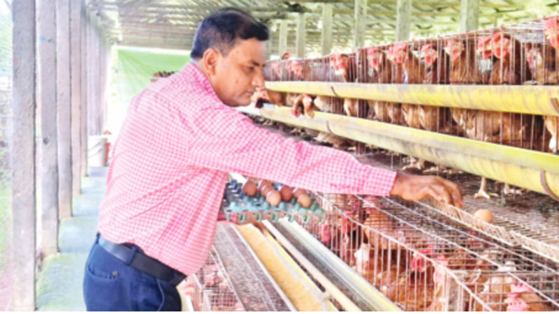 ছোট উদ্যোক্তা থেকে বড় খামারি ছোট উদ্যোক্তা থেকে বড় খামারি