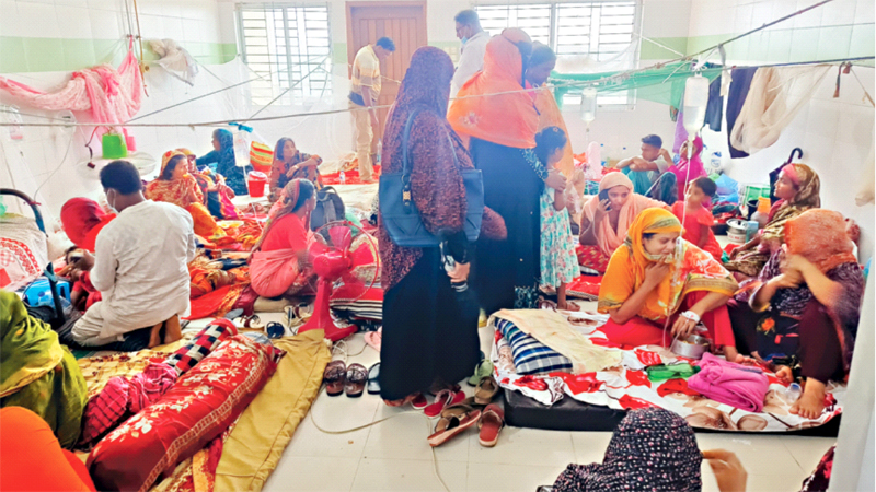 ঢাকার ১৩ ওয়ার্ড, বাইরের চার এলাকা ডেঙ্গুর উচ্চঝুঁকিতে ঢাকার ১৩ ওয়ার্ড, বাইরের চার এলাকা ডেঙ্গুর উচ্চঝুঁকিতে
