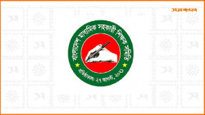 ‘ইএফটি বিড়ম্বনায় বেতন-বোনাস পরিশোধ না করা শিক্ষকদের সঙ্গে নির্মমতা’