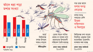 মশায় অতিষ্ঠ ঢাকাবাসী