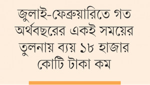 আট মাসে এডিপির  বাস্তবায়ন ২৪%
