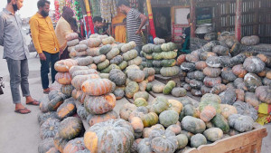 হামার কুমড়ায় রোজা, কুমড়ায় ঈদ