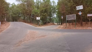 তিন সড়কে ডাকাত আতঙ্ক