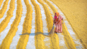 শ্রমজীবী নারীর ঈদ