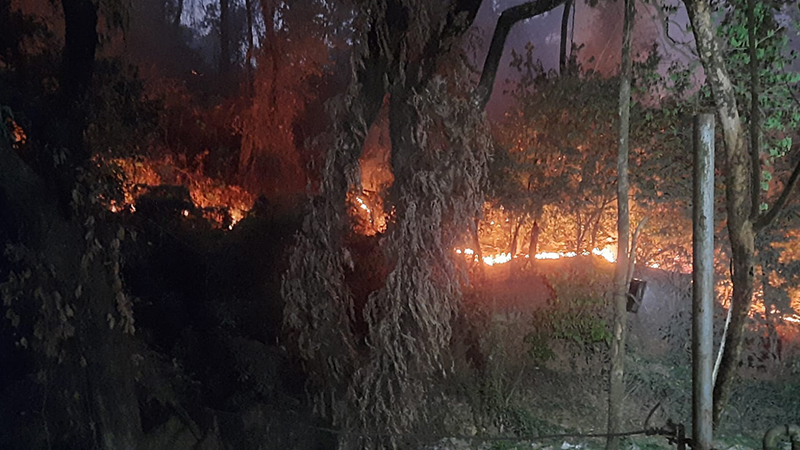 চট্টগ্রামে টাংকির পাহাড় ও চমেক পাহাড়ে আগুন চট্টগ্রামে টাংকির পাহাড় ও চমেক পাহাড়ে আগুন