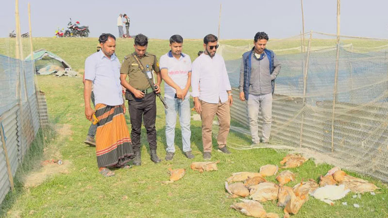 পাম্প জব্দের শোধ নিতে কাঁধে হাঁস মারার দায় পাম্প জব্দের শোধ নিতে কাঁধে হাঁস মারার দায়