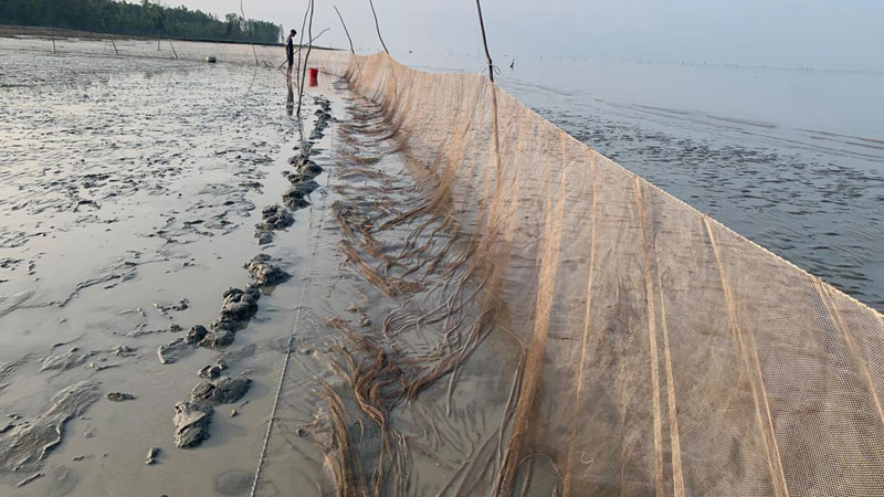 সংরক্ষিত বন ও নদীঘেঁষে অবৈধ জালে মাছ নিধন সংরক্ষিত বন ও নদীঘেঁষে অবৈধ জালে মাছ নিধন
