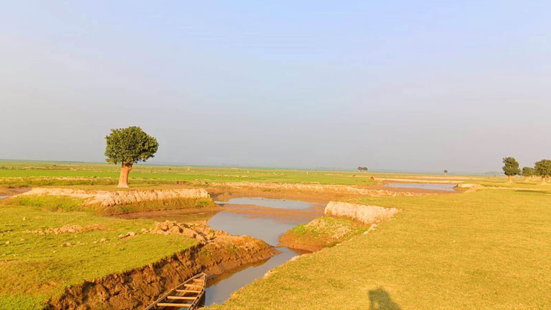 বাঁধ নির্মাণে মাটির সংকট নষ্ট হচ্ছে গো-চারণভূমি বাঁধ নির্মাণে মাটির সংকট নষ্ট হচ্ছে গো-চারণভূমি