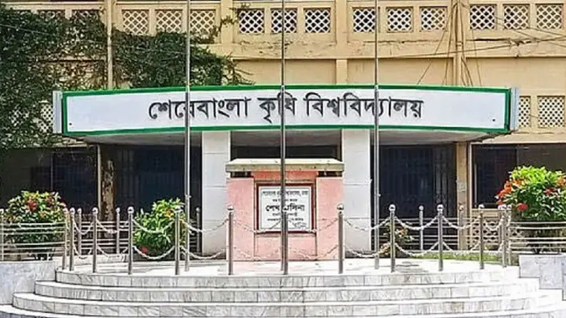সন্ধ্যা হলেই ক্যাম্পাসে বসছে মাদকের আসর, ঘটছে র্যাগিং সন্ধ্যা হলেই ক্যাম্পাসে বসছে মাদকের আসর, ঘটছে র্যাগিং