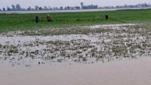 ‘হঠাৎ পানি আসি মোর স্বপ্ন ভাসি নিয়া গেল’