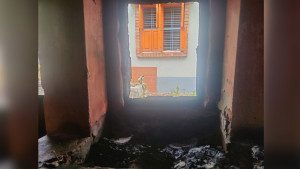 নাট্যশিল্পীর বাড়িতে আগুনের ঘটনায় সাহিত্যিক-সংস্কৃতিকর্মীদের প্রতিবাদ