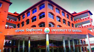 বরিশাল বিশ্ববিদ্যালয়ের নতুন উপাচার্য ড. তৌফিক  