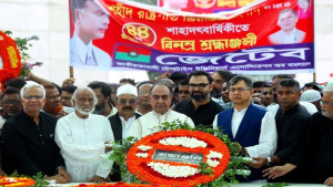 একজন ব্যক্তি ডিসেম্বরে নির্বাচন চান না: মির্জা আব্বাস