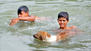 তীব্র তাপপ্রবাহে পুড়ছে দেশের আট জেলা