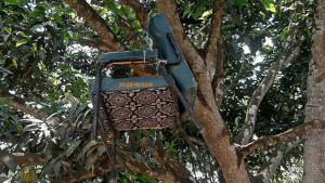 প্রধান শিক্ষককে বের করে দিয়ে কক্ষে তালা, চেয়ার ঝুলছে গাছে