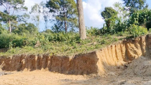 পাহাড়-টিলা কেটে সাবাড় উদাসীন বন বিভাগ