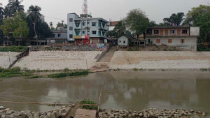 স্রোতে কচুরিপানার চাপে ভেসে গেল সাঁকো
