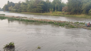বাঁশ ঘিরে দেড় হাজার কর্মসংস্থান