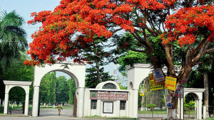 বেড়েছে সাপের উপদ্রব আতঙ্কে শিক্ষার্থী