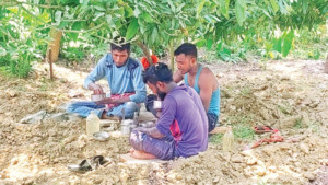 দেশজুড়ে তাপপ্রবাহ  চুয়াডাঙ্গায় রেকর্ড  ৪১.২ ডিগ্রি