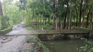 দরকারি সড়কই হয়নি বিলের মধ্যে কালভার্ট