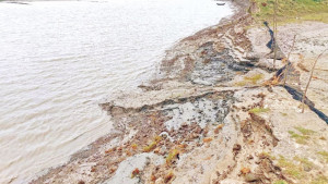 বিরামহীন ভাঙছে বামনী নদী
