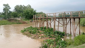 সাঁকো ভেঙে যোগাযোগ বিচ্ছিন্ন ১১ গ্রাম