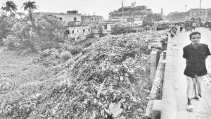 ‘কী করব পেট কি  আর দুর্গন্ধ বুঝে’