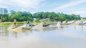হালদায় অপেক্ষা এখন ডিম উৎসবের