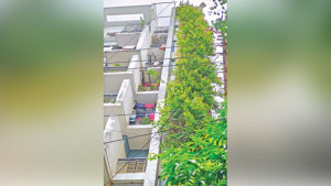 মন ছুঁয়ে যায়  মাধবীলতায়