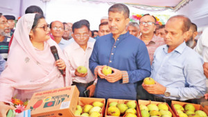 কৃষকের বাজারে নিরাপদ আম