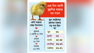 মুরগির বাচ্চা উৎপাদনে আগ্রহ হারাচ্ছেন খামারিরা