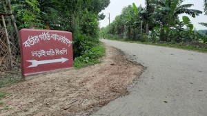 ঝিনাইদহ সীমান্তে বিএসএফের গুলিতে আহত বাংলাদেশির মৃত্যু