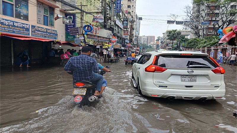 জলে ডোবা ঢাকা জলে ডোবা ঢাকা