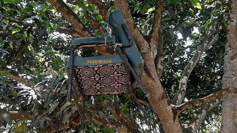 প্রধান শিক্ষককে বের করে দিয়ে কক্ষে তালা, চেয়ার ঝুলছে গাছে প্রধান শিক্ষককে বের করে দিয়ে কক্ষে তালা, চেয়ার ঝুলছে গাছে