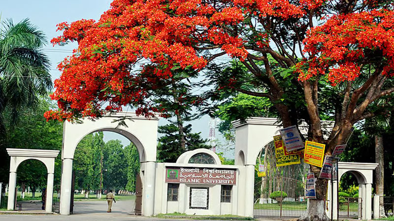 বেড়েছে সাপের উপদ্রব আতঙ্কে শিক্ষার্থী বেড়েছে সাপের উপদ্রব আতঙ্কে শিক্ষার্থী