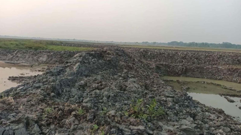 বিল দখল করে পুকুর খনন মৎস্য খামার তৈরির মচ্ছব বিল দখল করে পুকুর খনন মৎস্য খামার তৈরির মচ্ছব