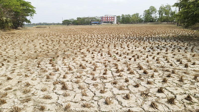 লবণের প্রভাবে অনাবাদি ৯ হাজার হেক্টর জমি লবণের প্রভাবে অনাবাদি ৯ হাজার হেক্টর জমি