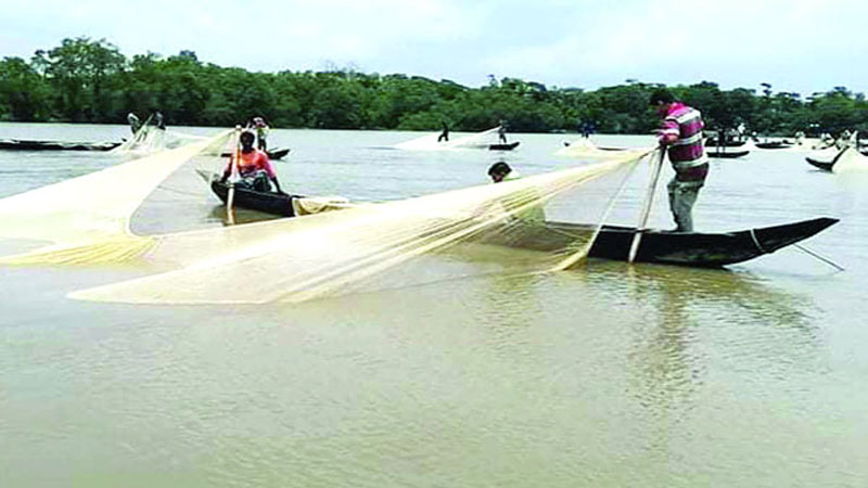 হালদাপাড়ে হাসির ঝিলিক হালদাপাড়ে হাসির ঝিলিক