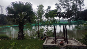 আদালতের রায় উপেক্ষা করে শ্মশানের জলাশয় দখলের অভিযোগ